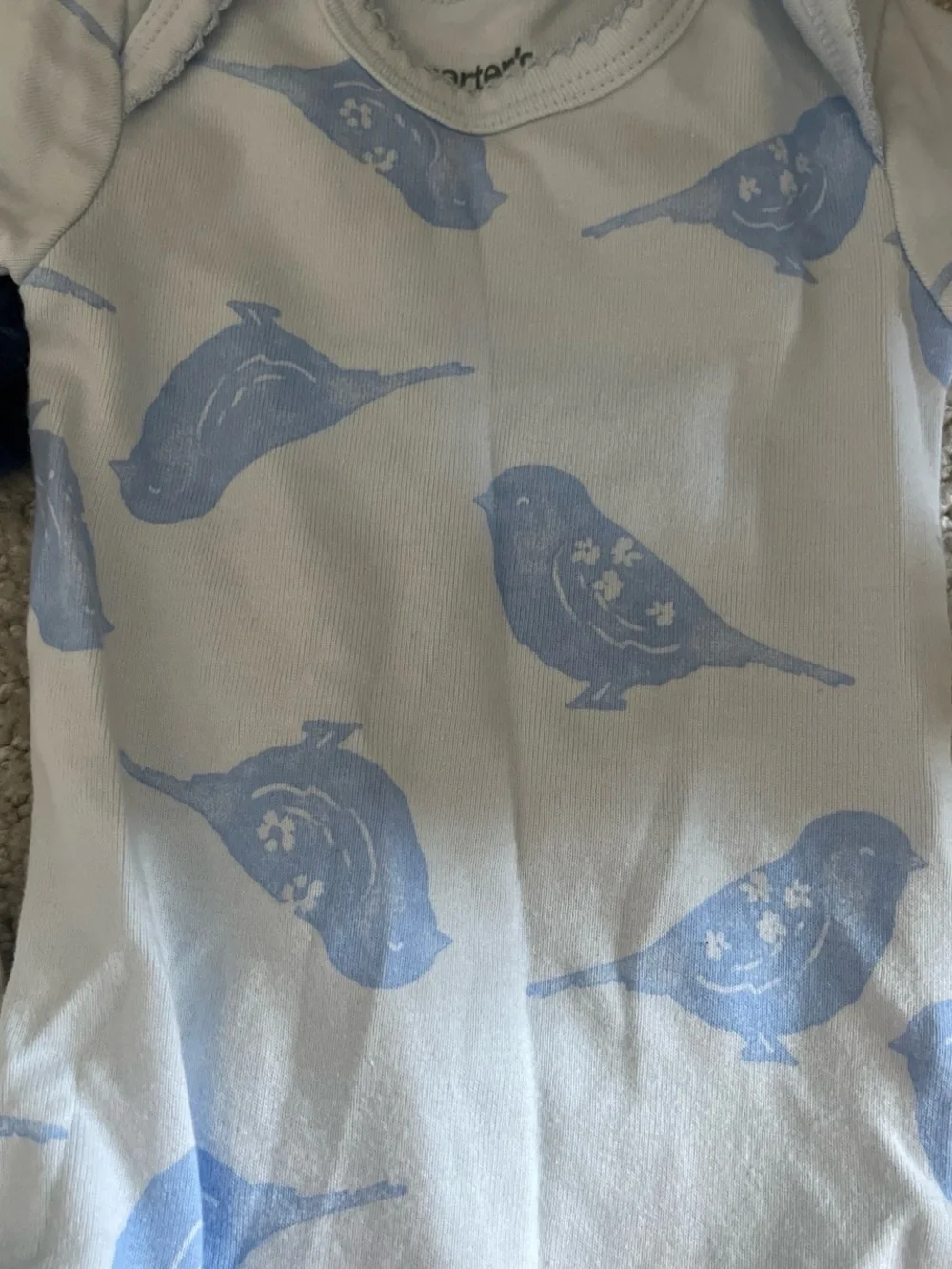 Animal Onesies